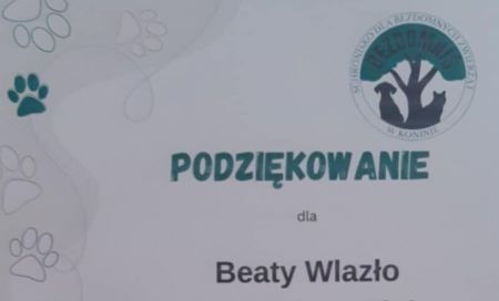 Podziękowanie dla ZSGE za udział w akcji charytatywnej "Pełna miska"
